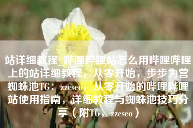 站详细教程_哔哩哔哩站怎么用哔哩哔哩上的站详细教程，从零开始，步步为营蜘蛛池TG：zzcseo，从零开始的哔哩哔哩站使用指南，详细教程与蜘蛛池技巧分享（附TG，zzcseo）
