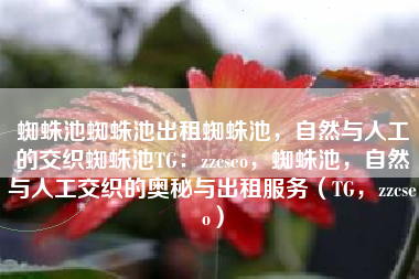 蜘蛛池蜘蛛池出租蜘蛛池，自然与人工的交织蜘蛛池TG：zzcseo，蜘蛛池，自然与人工交织的奥秘与出租服务（TG，zzcseo）