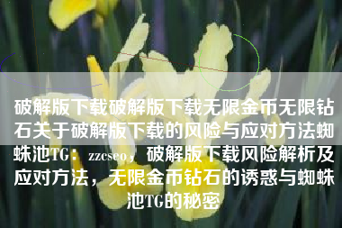 破解版下载破解版下载无限金币无限钻石关于破解版下载的风险与应对方法蜘蛛池TG：zzcseo，破解版下载风险解析及应对方法，无限金币钻石的诱惑与蜘蛛池TG的秘密