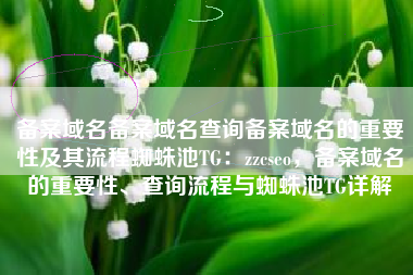 备案域名备案域名查询备案域名的重要性及其流程蜘蛛池TG：zzcseo，备案域名的重要性、查询流程与蜘蛛池TG详解