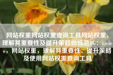 网站权重网站权重查询工具网站权重，理解其重要性及提升策略蜘蛛池TG：zzcseo，网站权重，理解其重要性、提升策略及使用网站权重查询工具