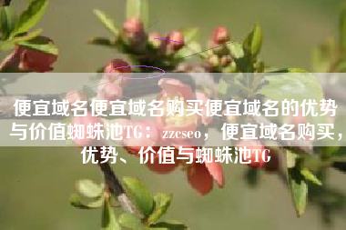 便宜域名便宜域名购买便宜域名的优势与价值蜘蛛池TG：zzcseo，便宜域名购买，优势、价值与蜘蛛池TG