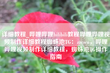 详细教程_哔哩哔哩bilibili教程哔哩哔哩视频制作详细教程蜘蛛池TG：zzcseo，哔哩哔哩视频制作详细教程，蜘蛛池TG操作指南