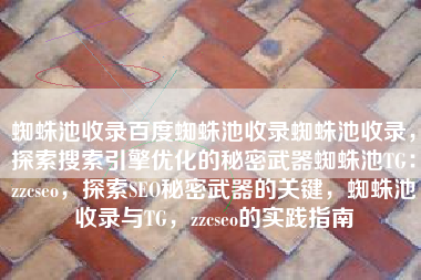 蜘蛛池收录百度蜘蛛池收录蜘蛛池收录，探索搜索引擎优化的秘密武器蜘蛛池TG：zzcseo，探索SEO秘密武器的关键，蜘蛛池收录与TG，zzcseo的实践指南