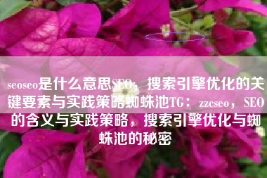 seoseo是什么意思SEO，搜索引擎优化的关键要素与实践策略蜘蛛池TG：zzcseo，SEO的含义与实践策略，搜索引擎优化与蜘蛛池的秘密
