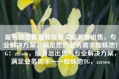 服务器出售服务器售卖服务器出售，专业解决方案，满足您的业务需求蜘蛛池TG：zzcseo，服务器出售与专业解决方案，满足业务需求——蜘蛛池TG，zzcseo