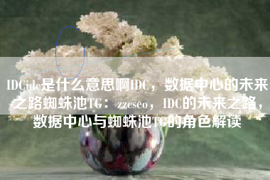 IDCidc是什么意思啊IDC，数据中心的未来之路蜘蛛池TG：zzcseo，IDC的未来之路，数据中心与蜘蛛池TG的角色解读