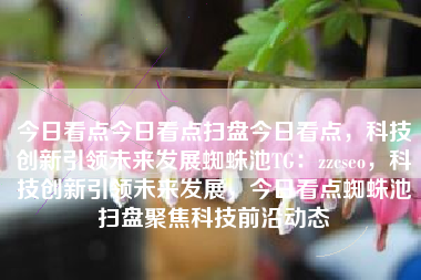 今日看点今日看点扫盘今日看点，科技创新引领未来发展蜘蛛池TG：zzcseo，科技创新引领未来发展，今日看点蜘蛛池扫盘聚焦科技前沿动态