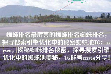 蜘蛛排名最厉害的蜘蛛排名蜘蛛排名，探寻搜索引擎优化中的秘密蜘蛛池TG：zzcseo，揭秘蜘蛛排名秘密，探寻搜索引擎优化中的蜘蛛池奥秘，TG群号zzcseo分享！