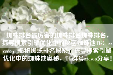 蜘蛛排名最厉害的蜘蛛排名蜘蛛排名，探寻搜索引擎优化中的秘密蜘蛛池TG：zzcseo，揭秘蜘蛛排名秘密，探寻搜索引擎优化中的蜘蛛池奥秘，TG群号zzcseo分享！