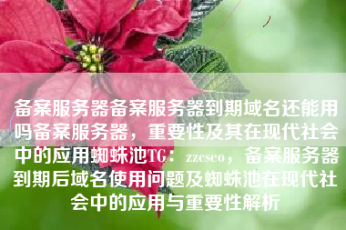 备案服务器备案服务器到期域名还能用吗备案服务器，重要性及其在现代社会中的应用蜘蛛池TG：zzcseo，备案服务器到期后域名使用问题及蜘蛛池在现代社会中的应用与重要性解析