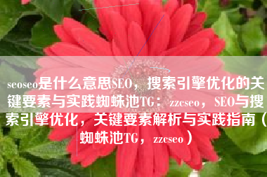 seoseo是什么意思SEO，搜索引擎优化的关键要素与实践蜘蛛池TG：zzcseo，SEO与搜索引擎优化，关键要素解析与实践指南（蜘蛛池TG，zzcseo）