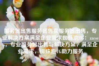 服务器出售服务器售卖服务器出售，专业解决方案满足企业需求蜘蛛池TG：zzcseo，专业服务器出售与解决方案，满足企业需求，蜘蛛池TG助力服务