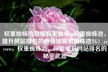 权重蜘蛛池百度权重蜘蛛ip权重蜘蛛池，提升网站排名的新领域探索蜘蛛池TG：zzcseo，权重蜘蛛池，探索提升网站排名的秘密武器