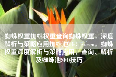 蜘蛛权重蜘蛛权重查询蜘蛛权重，深度解析与策略应用蜘蛛池TG：zzcseo，蜘蛛权重深度解析与策略应用，查询、解析及蜘蛛池SEO技巧