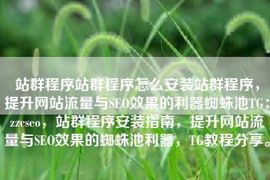 站群程序站群程序怎么安装站群程序，提升网站流量与SEO效果的利器蜘蛛池TG：zzcseo，站群程序安装指南，提升网站流量与SEO效果的蜘蛛池利器，TG教程分享。