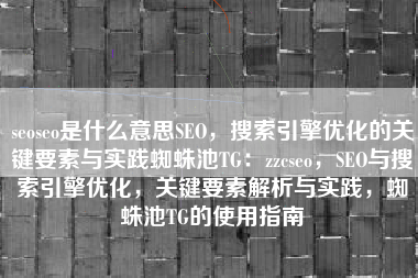 seoseo是什么意思SEO，搜索引擎优化的关键要素与实践蜘蛛池TG：zzcseo，SEO与搜索引擎优化，关键要素解析与实践，蜘蛛池TG的使用指南
