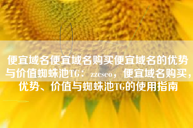 便宜域名便宜域名购买便宜域名的优势与价值蜘蛛池TG：zzcseo，便宜域名购买，优势、价值与蜘蛛池TG的使用指南