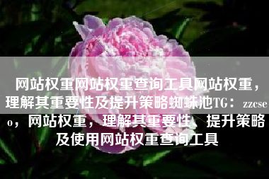 网站权重网站权重查询工具网站权重，理解其重要性及提升策略蜘蛛池TG：zzcseo，网站权重，理解其重要性、提升策略及使用网站权重查询工具