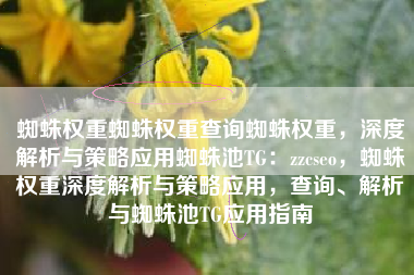 蜘蛛权重蜘蛛权重查询蜘蛛权重，深度解析与策略应用蜘蛛池TG：zzcseo，蜘蛛权重深度解析与策略应用，查询、解析与蜘蛛池TG应用指南