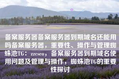 备案服务器备案服务器到期域名还能用吗备案服务器，重要性、操作与管理蜘蛛池TG：zzcseo，备案服务器到期域名使用问题及管理与操作，蜘蛛池TG的重要性探讨