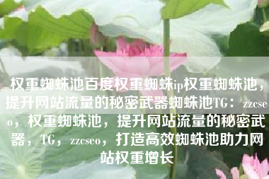 权重蜘蛛池百度权重蜘蛛ip权重蜘蛛池，提升网站流量的秘密武器蜘蛛池TG：zzcseo，权重蜘蛛池，提升网站流量的秘密武器，TG，zzcseo，打造高效蜘蛛池助力网站权重增长