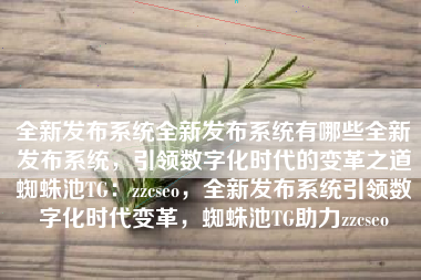 全新发布系统全新发布系统有哪些全新发布系统，引领数字化时代的变革之道蜘蛛池TG：zzcseo，全新发布系统引领数字化时代变革，蜘蛛池TG助力zzcseo