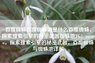 百度蜘蛛百度蜘蛛池是什么百度蜘蛛，探索搜索引擎的秘密武器蜘蛛池TG：zzcseo，探索搜索引擎的秘密武器，百度蜘蛛与蜘蛛池详解