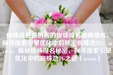 蜘蛛排名最厉害的蜘蛛排名蜘蛛排名，探寻搜索引擎优化中的秘密蜘蛛池TG：zzcseo，揭秘蜘蛛排名秘密，探寻搜索引擎优化中的蜘蛛池TG之道（zzcseo）