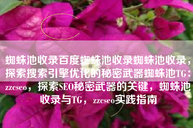 蜘蛛池收录百度蜘蛛池收录蜘蛛池收录，探索搜索引擎优化的秘密武器蜘蛛池TG：zzcseo，探索SEO秘密武器的关键，蜘蛛池收录与TG，zzcseo实践指南