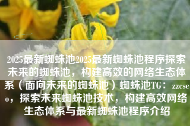 2025最新蜘蛛池2025最新蜘蛛池程序探索未来的蜘蛛池，构建高效的网络生态体系（面向未来的蜘蛛池）蜘蛛池TG：zzcseo，探索未来蜘蛛池技术，构建高效网络生态体系与最新蜘蛛池程序介绍