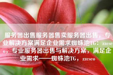 服务器出售服务器售卖服务器出售，专业解决方案满足企业需求蜘蛛池TG：zzcseo，专业服务器出售与解决方案，满足企业需求——蜘蛛池TG，zzcseo