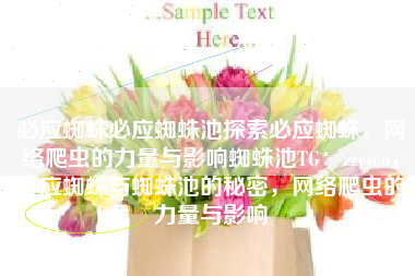 必应蜘蛛必应蜘蛛池探索必应蜘蛛，网络爬虫的力量与影响蜘蛛池TG：zzcseo，必应蜘蛛与蜘蛛池的秘密，网络爬虫的力量与影响