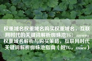 权重域名权重域名购买权重域名，互联网时代的关键词解析蜘蛛池TG：zzcseo，权重域名解析与购买策略，互联网时代关键词解析蜘蛛池指南（附TG，zzcseo）