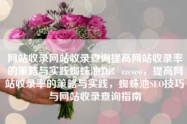 网站收录网站收录查询提高网站收录率的策略与实践蜘蛛池TG：zzcseo，提高网站收录率的策略与实践，蜘蛛池SEO技巧与网站收录查询指南