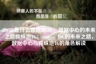 IDCidc是什么意思啊IDC，数据中心的未来之路蜘蛛池TG：zzcseo，IDC的未来之路，数据中心与蜘蛛池TG的角色解读