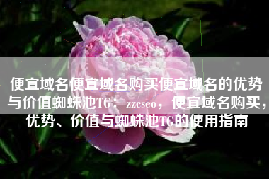 便宜域名便宜域名购买便宜域名的优势与价值蜘蛛池TG：zzcseo，便宜域名购买，优势、价值与蜘蛛池TG的使用指南
