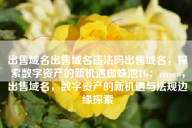 出售域名出售域名违法吗出售域名，探索数字资产的新机遇蜘蛛池TG：zzcseo，出售域名，数字资产的新机遇与法规边缘探索