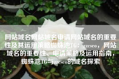 网站域名网站域名申请网站域名的重要性及其运用策略蜘蛛池TG：zzcseo，网站域名的重要性、申请策略及运用指南，蜘蛛池TG与zzcseo的域名探索