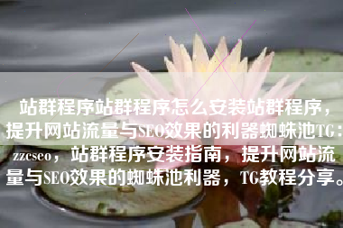 站群程序站群程序怎么安装站群程序，提升网站流量与SEO效果的利器蜘蛛池TG：zzcseo，站群程序安装指南，提升网站流量与SEO效果的蜘蛛池利器，TG教程分享。