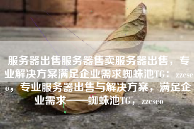 服务器出售服务器售卖服务器出售，专业解决方案满足企业需求蜘蛛池TG：zzcseo，专业服务器出售与解决方案，满足企业需求——蜘蛛池TG，zzcseo
