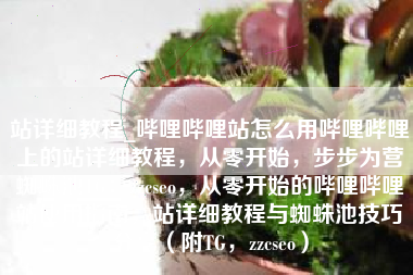 站详细教程_哔哩哔哩站怎么用哔哩哔哩上的站详细教程，从零开始，步步为营蜘蛛池TG：zzcseo，从零开始的哔哩哔哩站使用指南，站详细教程与蜘蛛池技巧分享（附TG，zzcseo）