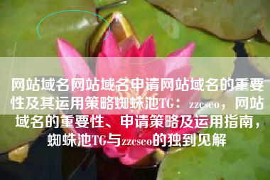网站域名网站域名申请网站域名的重要性及其运用策略蜘蛛池TG：zzcseo，网站域名的重要性、申请策略及运用指南，蜘蛛池TG与zzcseo的独到见解