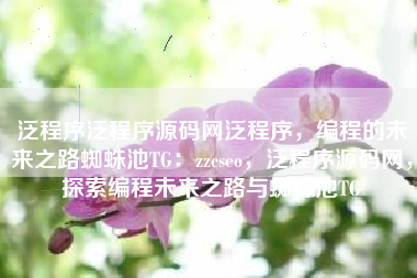 泛程序泛程序源码网泛程序，编程的未来之路蜘蛛池TG：zzcseo，泛程序源码网，探索编程未来之路与蜘蛛池TG