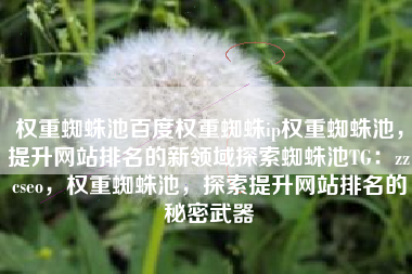 权重蜘蛛池百度权重蜘蛛ip权重蜘蛛池，提升网站排名的新领域探索蜘蛛池TG：zzcseo，权重蜘蛛池，探索提升网站排名的秘密武器