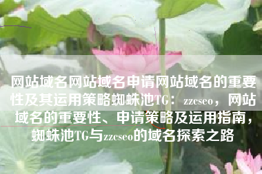 网站域名网站域名申请网站域名的重要性及其运用策略蜘蛛池TG：zzcseo，网站域名的重要性、申请策略及运用指南，蜘蛛池TG与zzcseo的域名探索之路