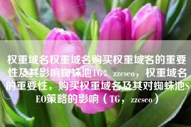权重域名权重域名购买权重域名的重要性及其影响蜘蛛池TG：zzcseo，权重域名的重要性，购买权重域名及其对蜘蛛池SEO策略的影响（TG，zzcseo）