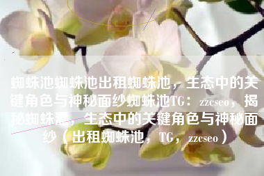 蜘蛛池蜘蛛池出租蜘蛛池，生态中的关键角色与神秘面纱蜘蛛池TG：zzcseo，揭秘蜘蛛池，生态中的关键角色与神秘面纱（出租蜘蛛池，TG，zzcseo）