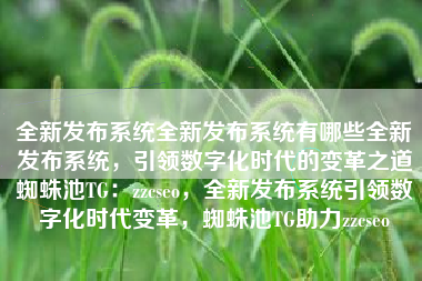 全新发布系统全新发布系统有哪些全新发布系统，引领数字化时代的变革之道蜘蛛池TG：zzcseo，全新发布系统引领数字化时代变革，蜘蛛池TG助力zzcseo