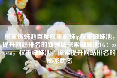 权重蜘蛛池百度权重蜘蛛ip权重蜘蛛池，提升网站排名的新领域探索蜘蛛池TG：zzcseo，权重蜘蛛池，探索提升网站排名的秘密武器